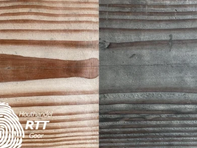 Algemene kenmerken hout
